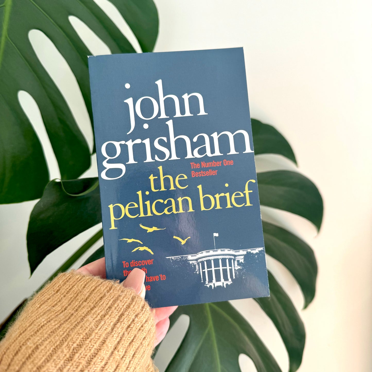 the pelican brief - john grisham