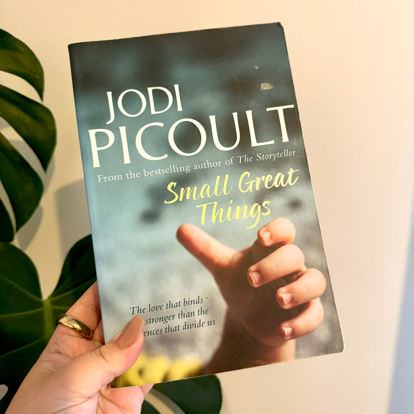 small great things - jodi picoult