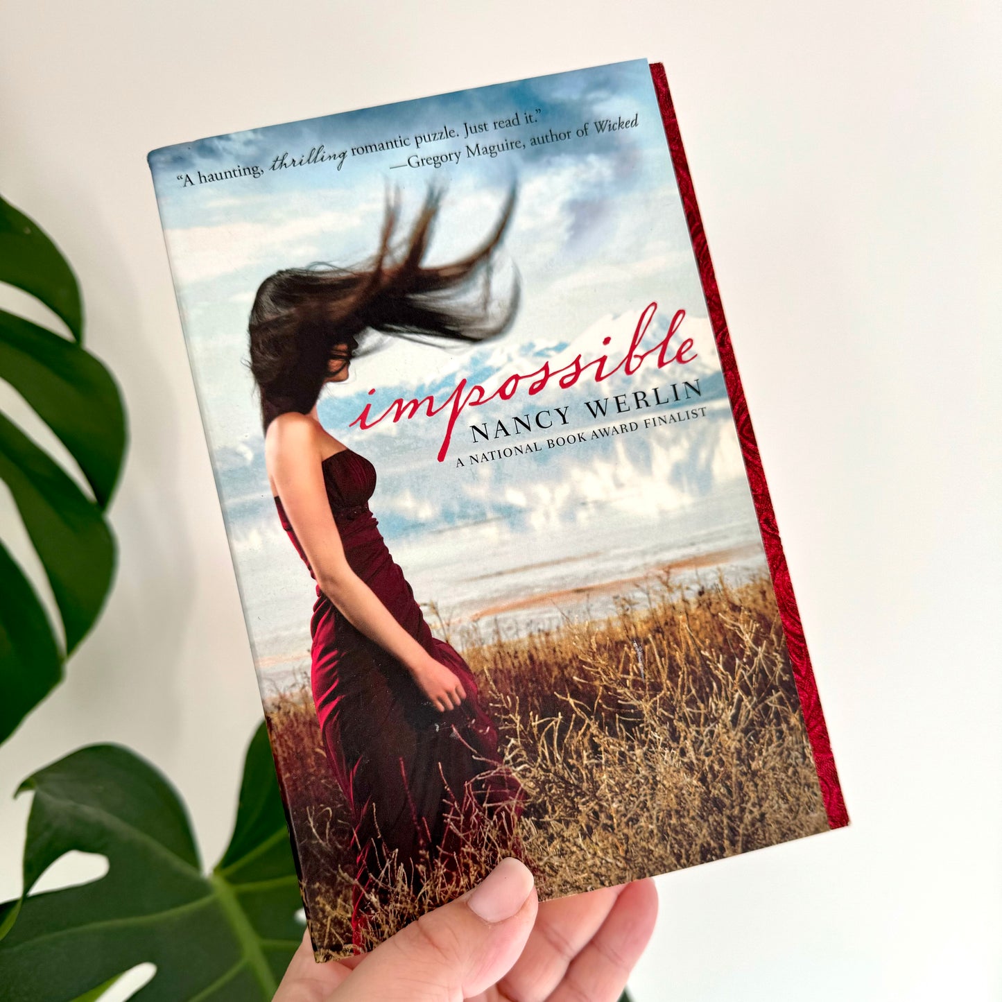 impossible - nancy werlin