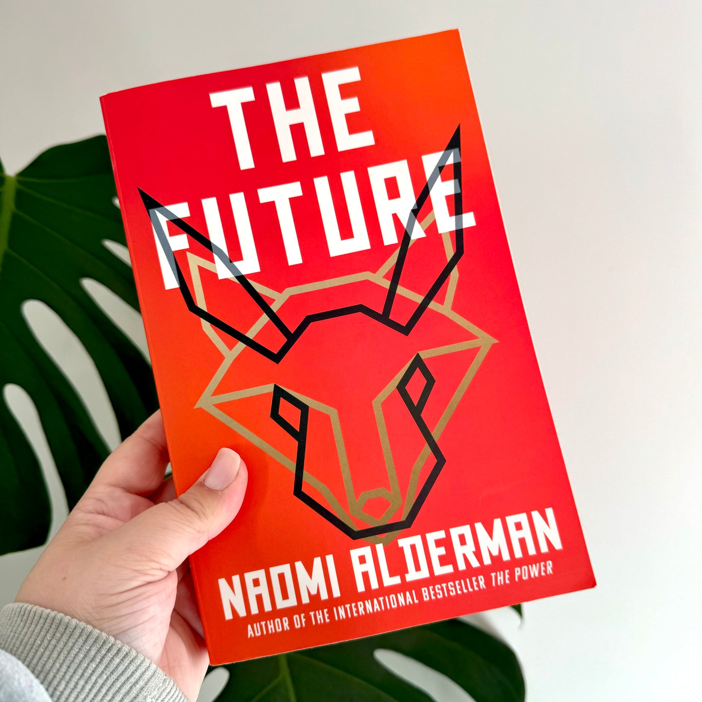 the future - naomi alderman