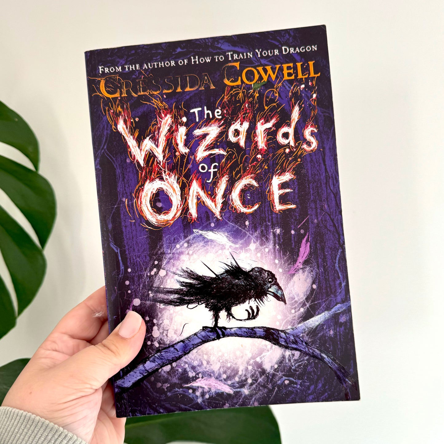 the wizards of once - cressida cowell