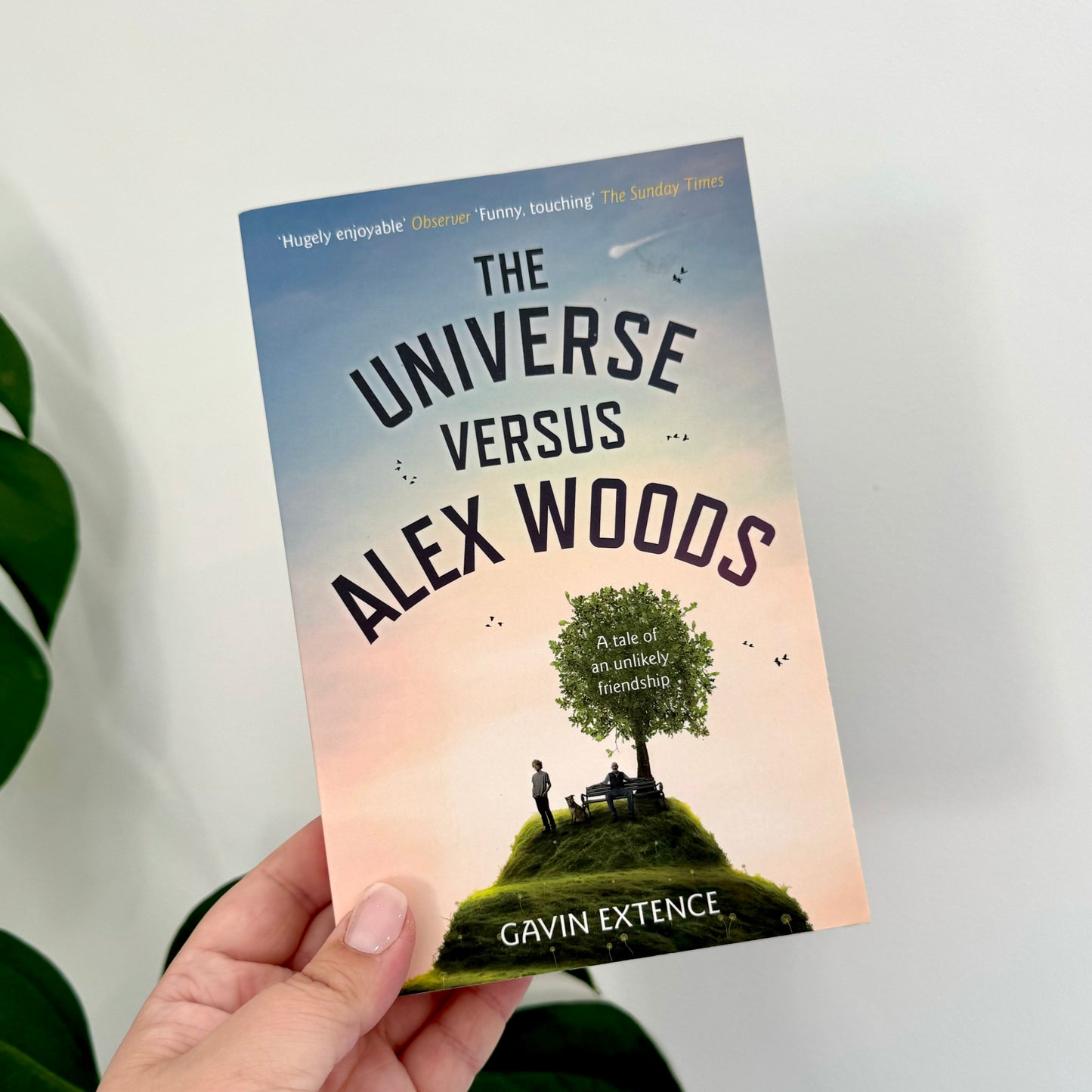 the universe versus alex woods - gavin extence