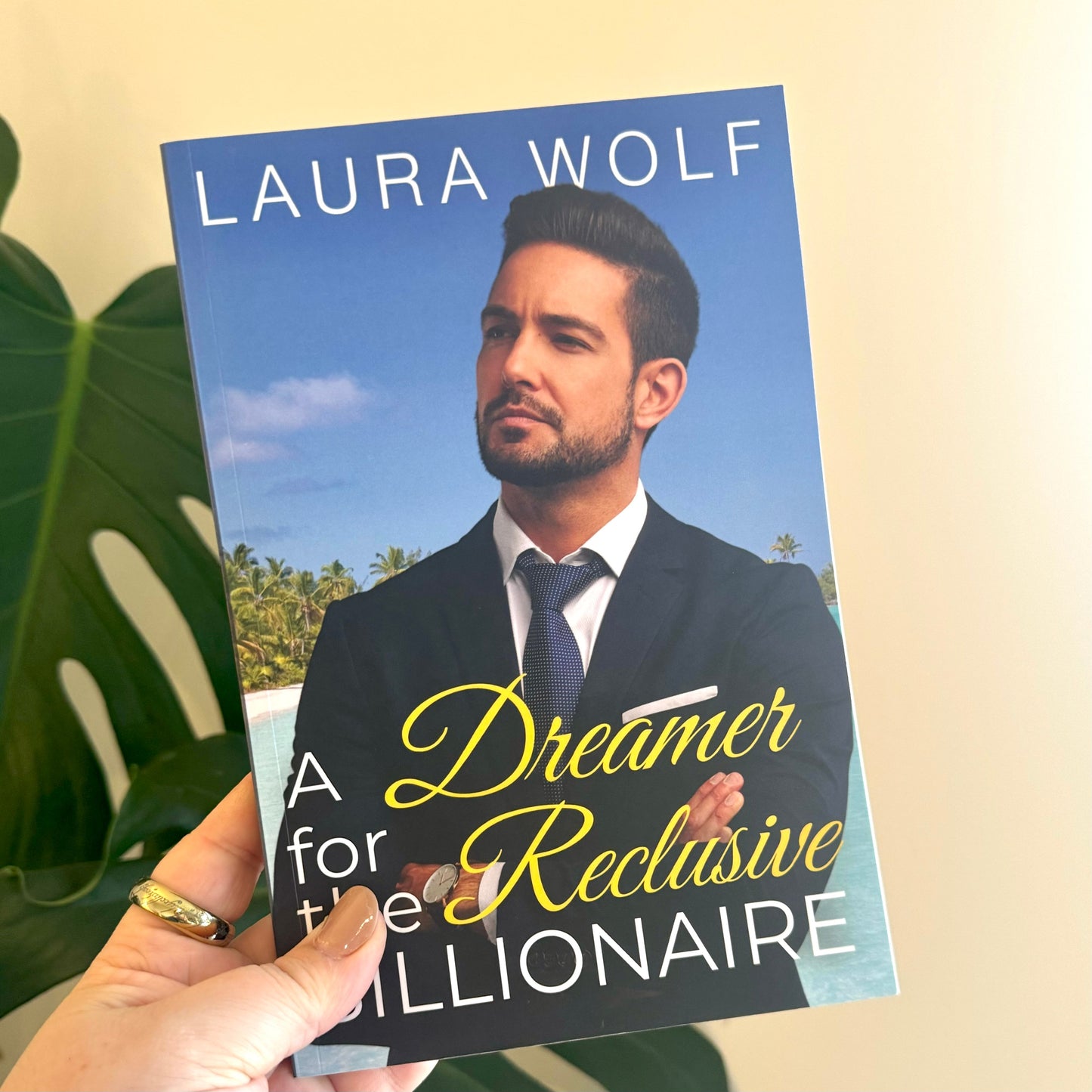 a dreamer for the reclusive billionaire - laura wolf - pae pukapuka