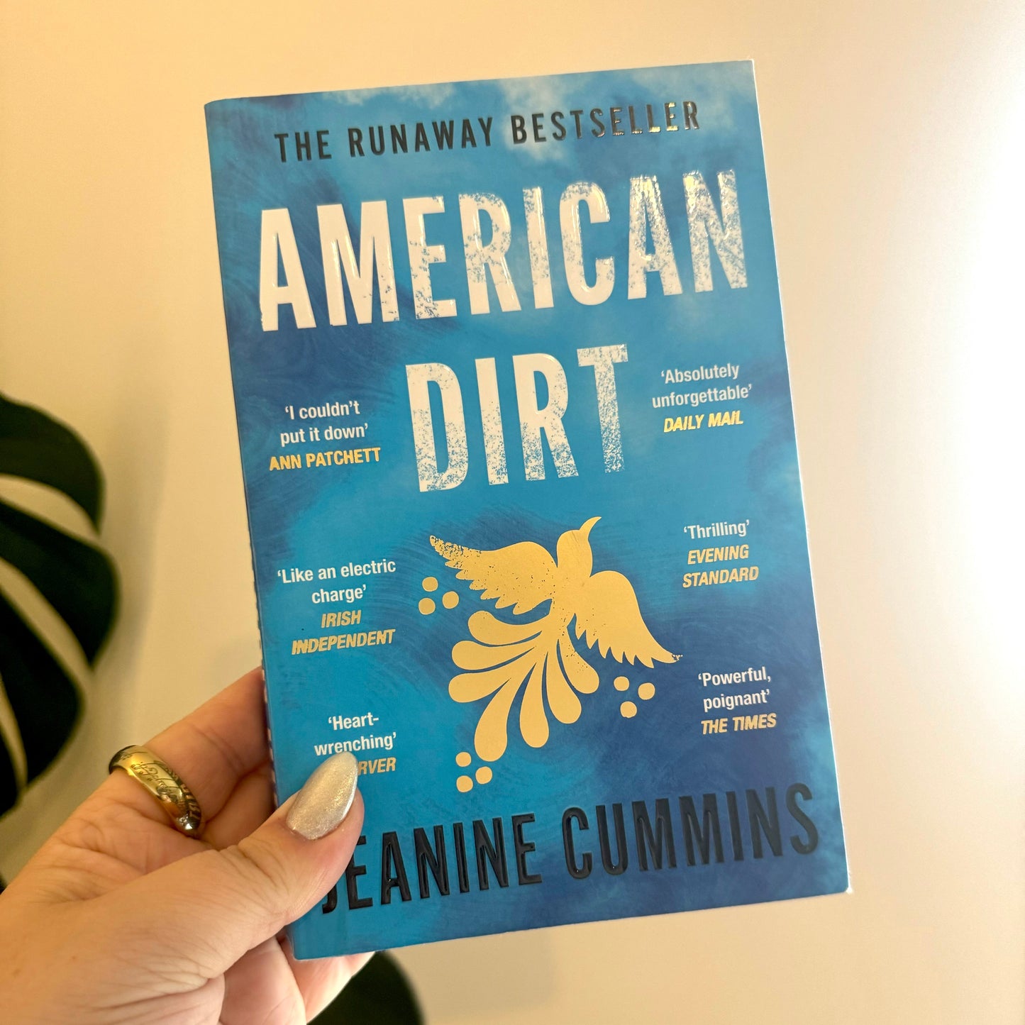 american dirt - jeanine cummins - pae pukapuka