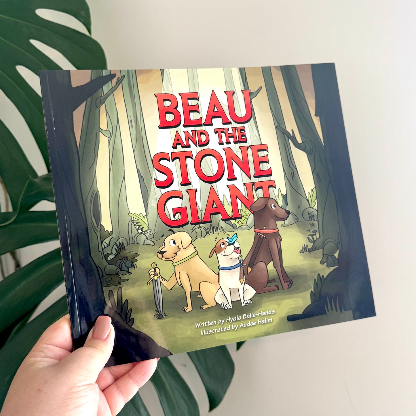 beau and the stone giant - hydie balle - hands - pae pukapuka