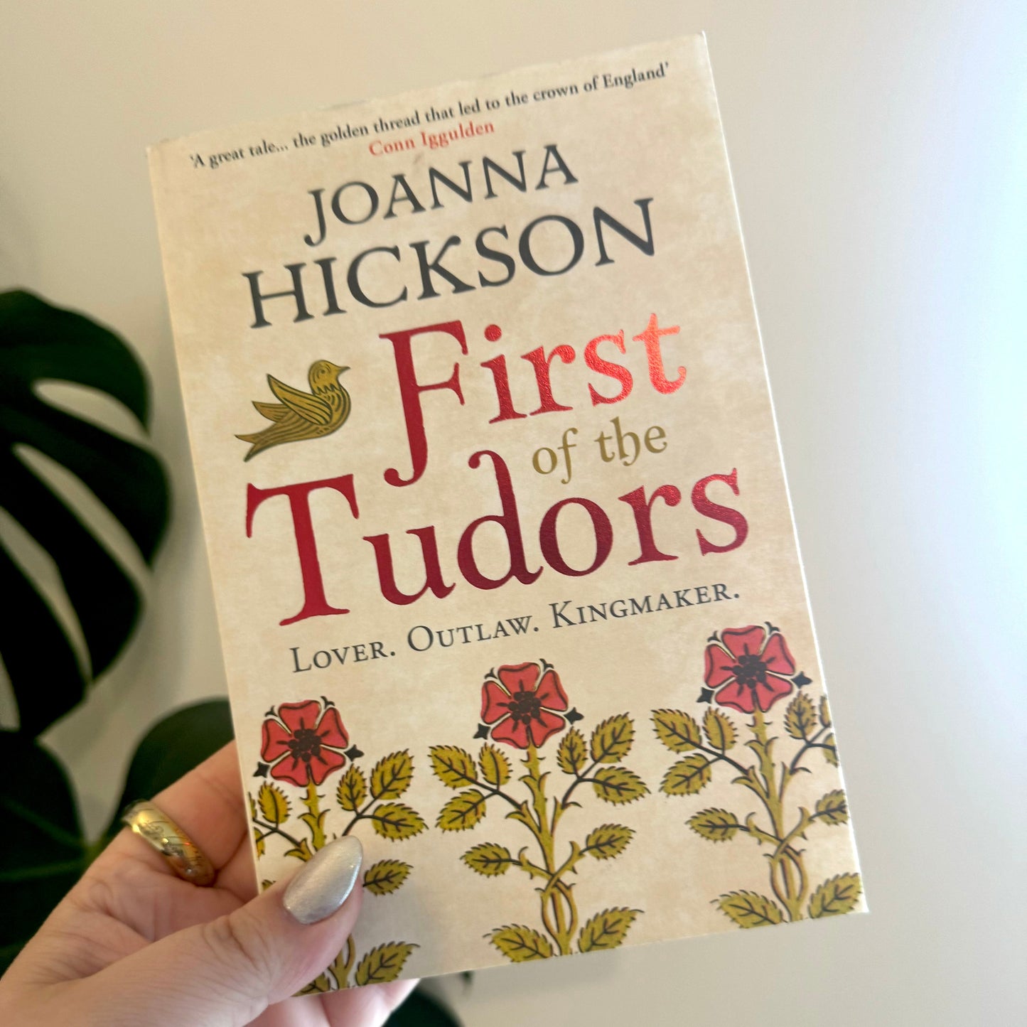 first of the tudors - joanna hickson - pae pukapuka