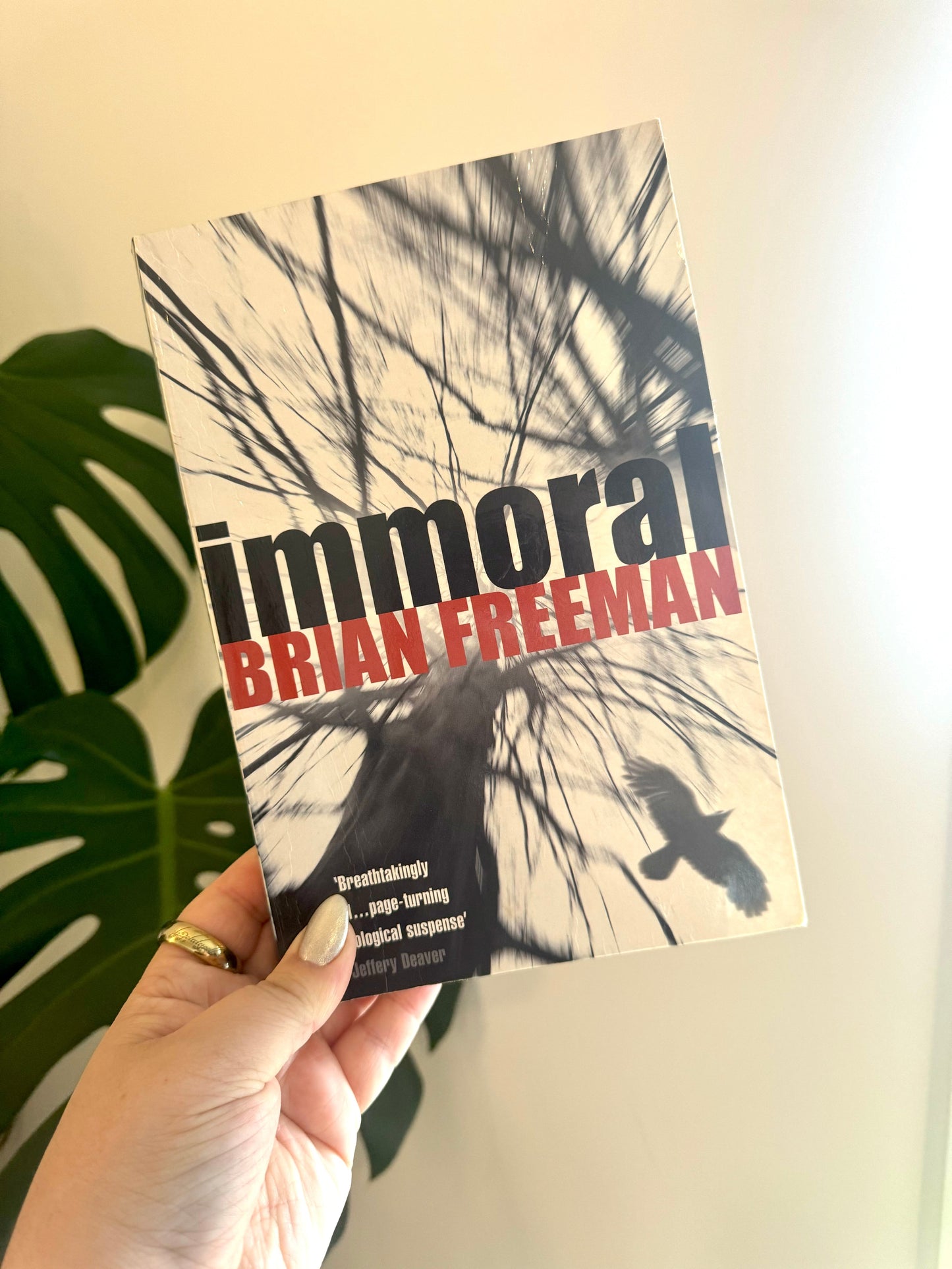 immoral - brian freeman - pae pukapuka