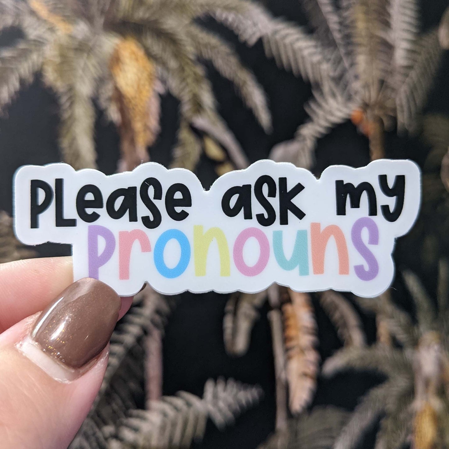 please ask my pronouns ~ vinyl sticker - pae pukapuka