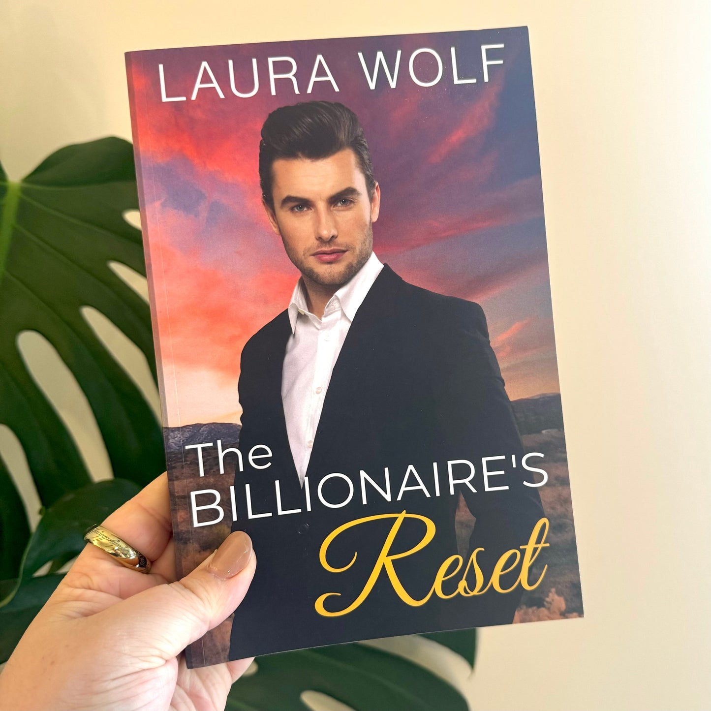 the billionaire's reset - laura wolf - pae pukapuka