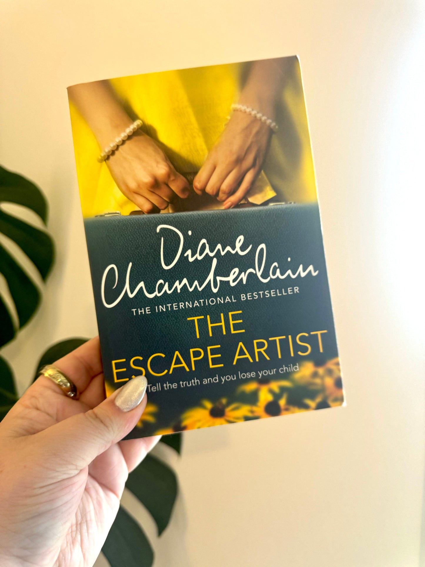 the escape artist - diane chamberlain - pae pukapuka