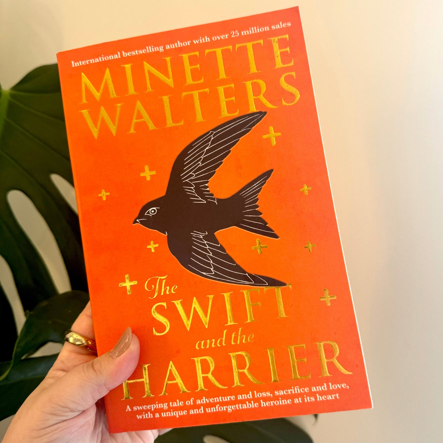 the swift and the harrier - minette walters - pae pukapuka