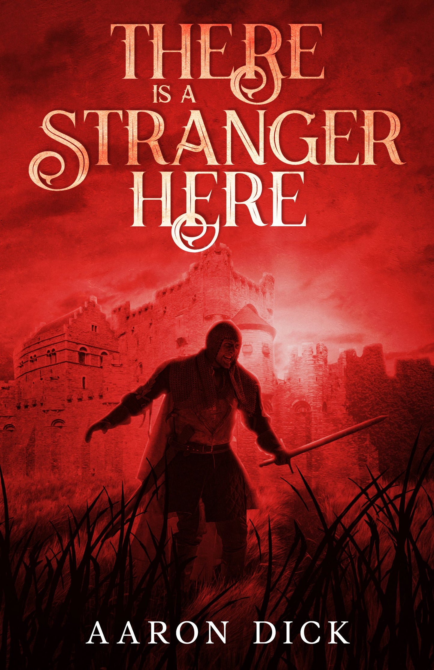 there is a stranger here - aaron dick ~ pre - order - pae pukapuka